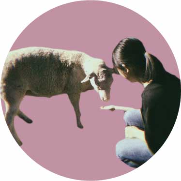 メンバーのcolor画像