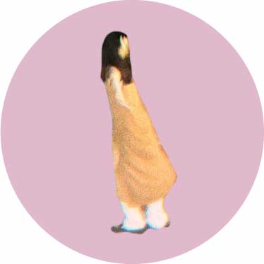 メンバーのcolor画像