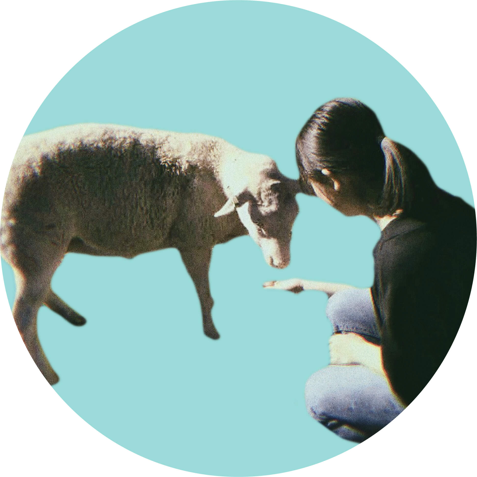 メンバーの画像