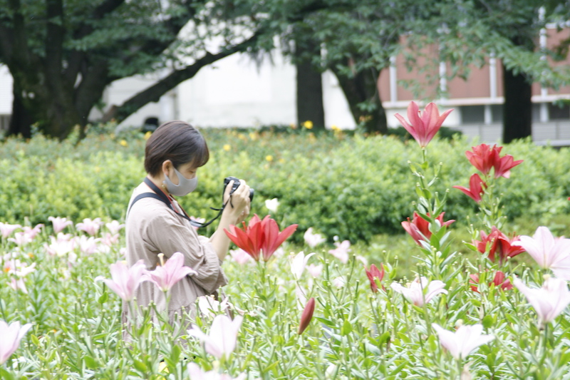 白-haku-作業風景