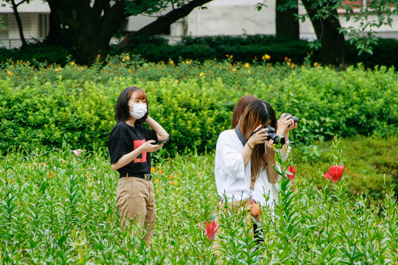 白-haku-作業風景
